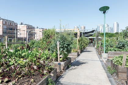La zona de huerta se planteó como una serie de canteros elevados realizados en madera. Se transita por caminos anchos, aptos para gente con movilidad reducida.