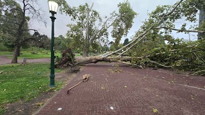 La zona de Parque Lezama fue una de las más afectadas