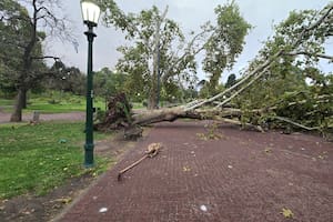 Tras la tormenta, la temperatura bajó en la ciudad más de ocho grados