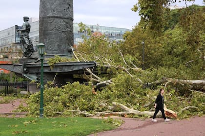 La zona de Parque Lezama registró caída de árboles y ramas