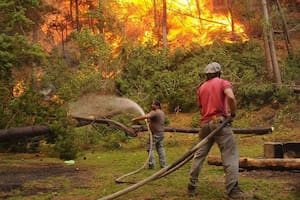 Tras una temporada récord de incendios, avanza una ofensiva penal por los bosques nativos