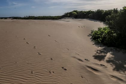 La zona donde apareció el cuerpo de Lola Chomnalez en Aguas Dulces