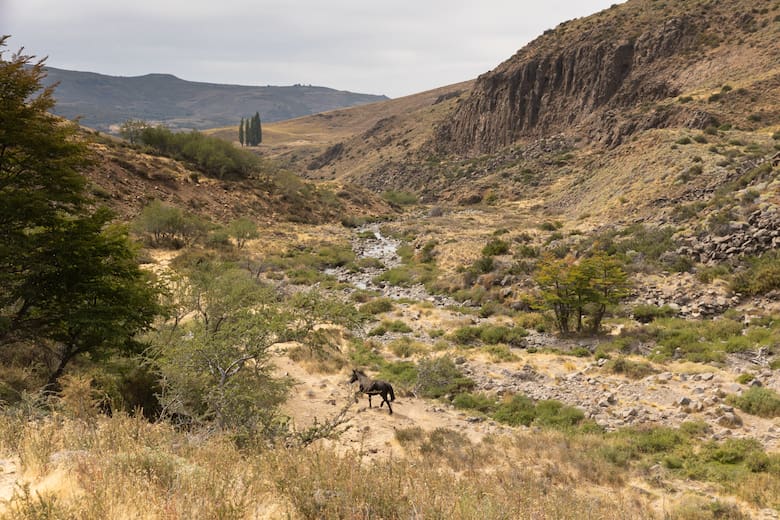 Carri Lil: el sendero mapuche escondido entre pozones, cascadas y sabiduría ancestral