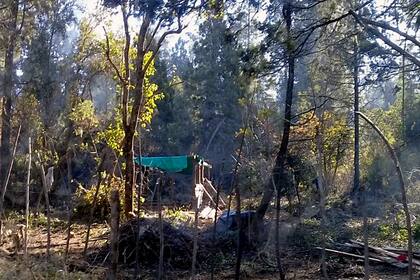 La zona es uno de los pulmones verdes de El Bolsón, y un punto de referencia turística