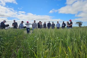Aprendizajes en la tierra del raigrás y los desafíos que vienen para la agricultura argentina