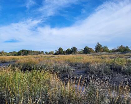 La zona se enfrenta a inundaciones constantes cada vez que llueve y es utilizada en ocasiones como cementerio