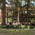La zona con bosque propio, departamentos de lujo y buenas rentas a minutos de la Capital