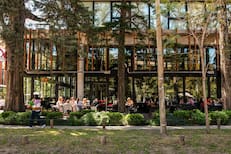 La zona con bosque propio, departamentos de lujo y buenas rentas a minutos de la Capital