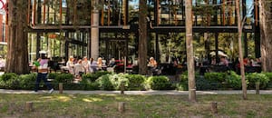 La zona con bosque propio, departamentos de lujo y buenas rentas a minutos de la Capital
