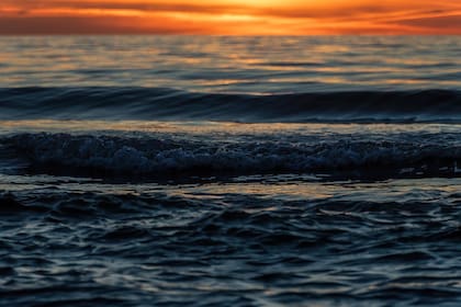 La zona transitoria marca el límite entre las playas públicas y privadas. Foto: fotoblend, Pixabay