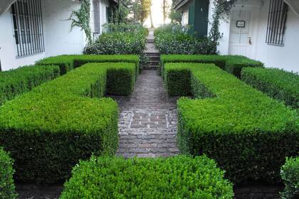 Laberinto de Buxus sempervirens en uno de los patios de acceso.