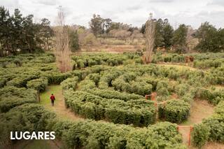 Cuatro mil plantas de bambú, dos laberintos y una laguna transformaron una estancia icónica