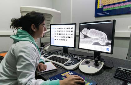 Laboratorio de bioarqueología donde se trabaja sobre la investigación y conservación de las momias de Chinchorro.