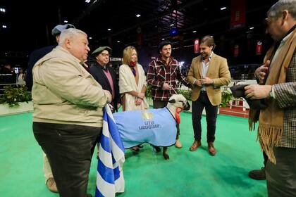Lacalle Pou estuvo en una premiación de ovejas