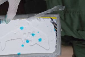 La marca del delfín vuelve a aparecer: secuestran cargamentos de cocaína camuflados en muebles y un micro