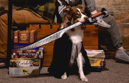 Lady Pinto Bean se convirtió en una estrella de Instagram