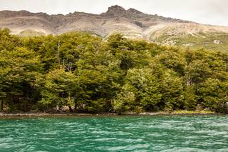 Lago del Desierto, paradoja patagónica