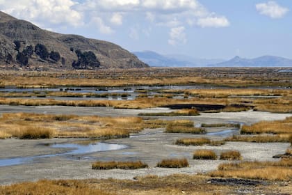 Además de la sequía el Titicaca sufre una fuerte contaminación por todos los desechos que genera la ciudad de El Alto, una de las más pobladas de este país sin salida al mar, además se suma la pesca indiscriminada que está diezmando las especies