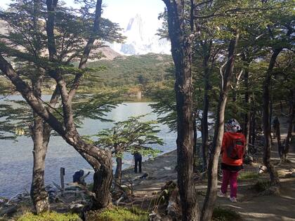 Laguna Capri, Parque Nacional Los Glaciares