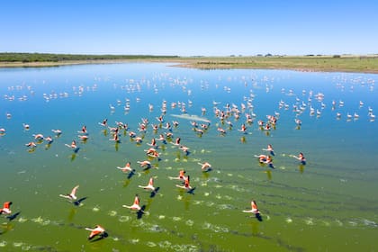 Laguna en Doblas.