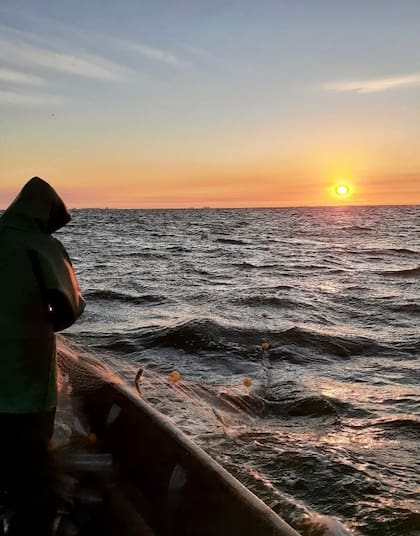 Laguna Hinojo, en Trenque Lauquen, formada por la laguna Hinojo Grande e Hinojo Chico