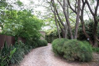 Piedra en el jardín. Un recurso de diseño con muchos usos