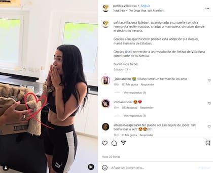 Lali adoptó a un nuevo gatito llamado Esteban (Foto: Instagram @patitas.villa.rosa)