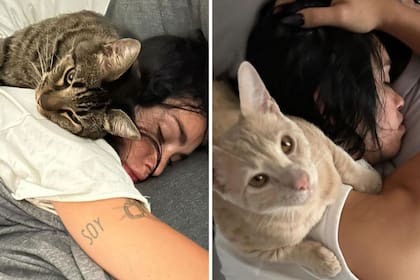 Lali Espósito junto a sus gatos