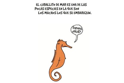 Lamentables datos animales