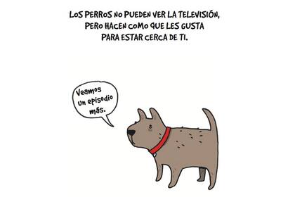 Lamentables datos animales