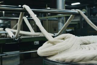 El sector en el que la Argentina es el primer exportador mundial pero está en crisis por el cepo