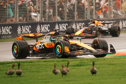 Lando Norris y Max Verstappen, la lucha que se entabló en el GP de Australia