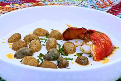 Langosta a la gallega, con papas confitadas y aceite de pimentón