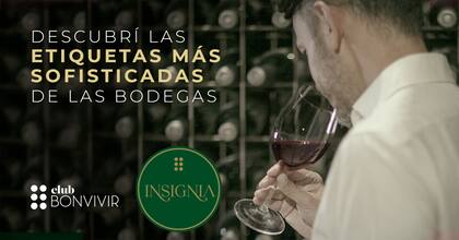 Lanzamiento Selección INSIGNIA