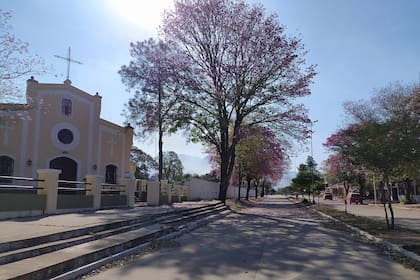 Lapachos y sol: las calles tranquilas de la ciudad de Aguaray