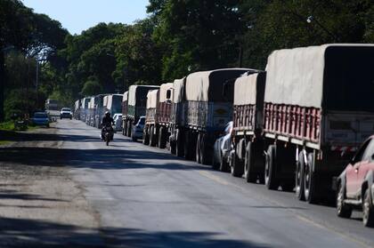 Largas filas de camiones se suelen registrar en el Gran Rosario con la cosecha