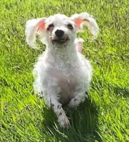 Larry ahora puede correr