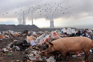 Las 100 empresas que mayor cantidad de gases de efecto invernadero emiten