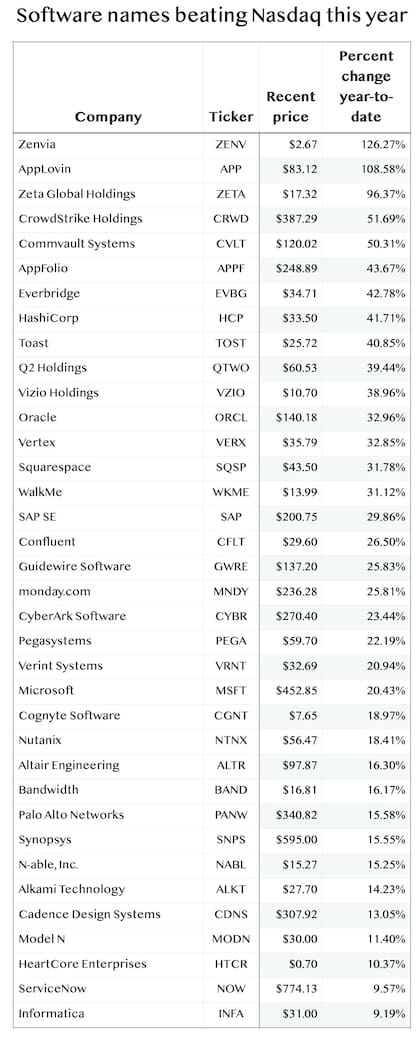 Las 36 empresas de software cuyas acciones han superado el rendimiento del 8,9% del Nasdaq este año