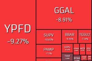 Las acciones argentinas caen hasta 13%