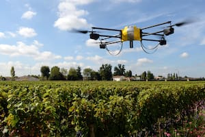 Agtech: estos fueron los hitos de 2021