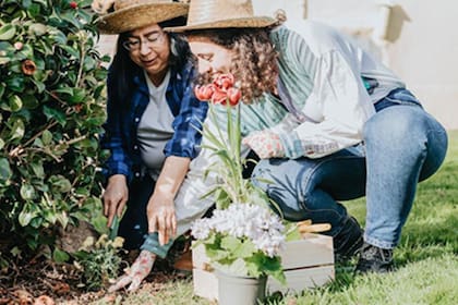 Las actividades de horticultura forman parte del programa preventivo de salud mental, que propone el contacto con la naturaleza como complemento terapéutico