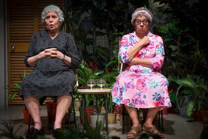 Las actuaciones de Manso y Pelicori son fabulosas.