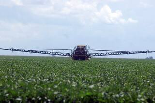 Otro fallo judicial puso en jaque a una región productiva