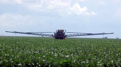 Las acusaciones contra el glifosato no solo están infundadas, sino que han sido contrarrestadas por más de 900 estudios científicos