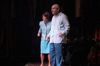 Una experiencia teatral tan delirante como emotiva