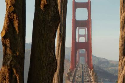 Las agencias de peaje no envían mensajes de texto a los usuarios no registrados, advierten desde el departamento de Justicia. (Instagram thetollroads)