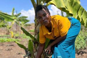 Las agricultoras que hacen vino con bananas para salvar sus cultivos