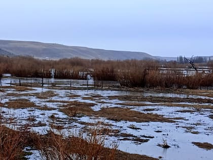 Las aguas avanzaron sobre las chacras en los Antiguos