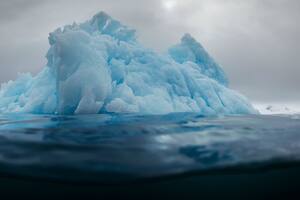 Día 4 - Nota mental: no caerme al agua en la Antártida